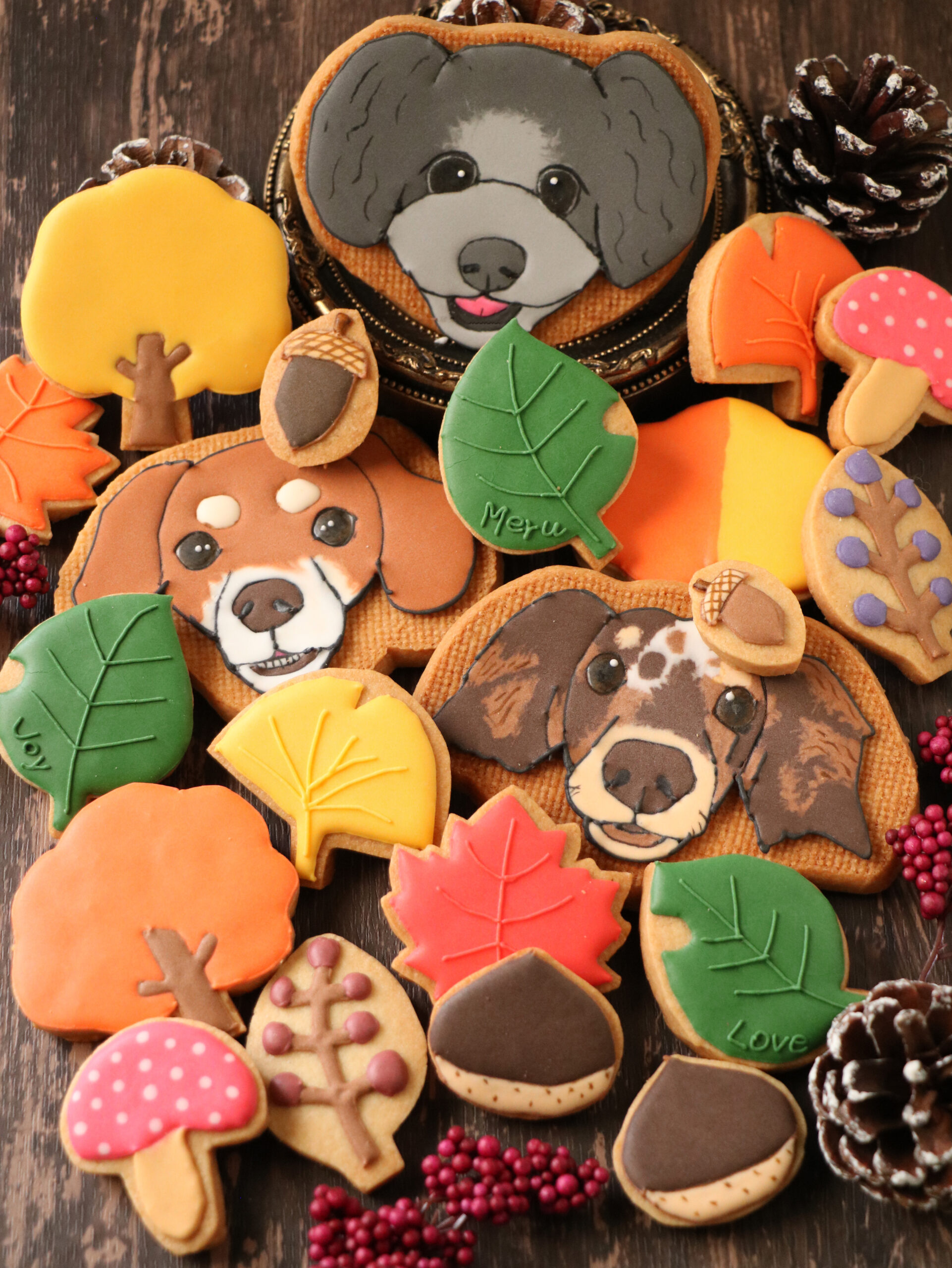 ひよこコース卒業制作「愛犬クッキー」